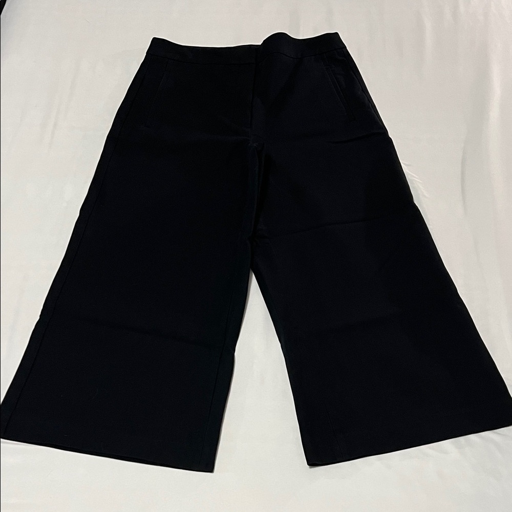 Ann Taylor Cropped Wide Leg Pants